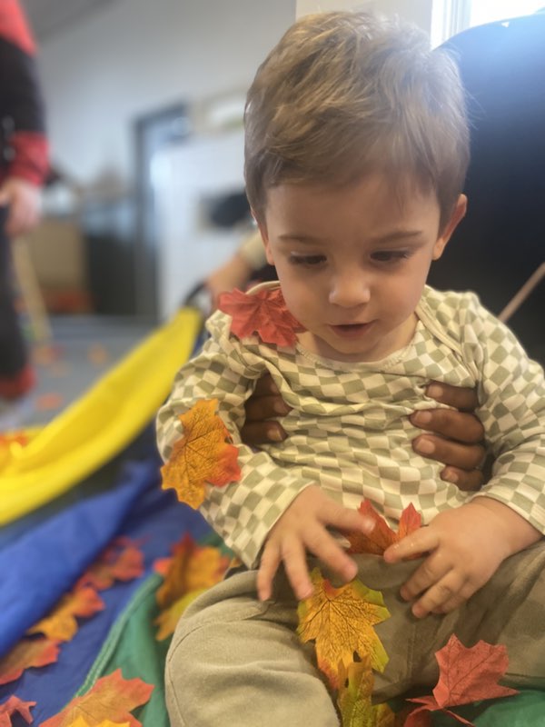 Child playing with leaves