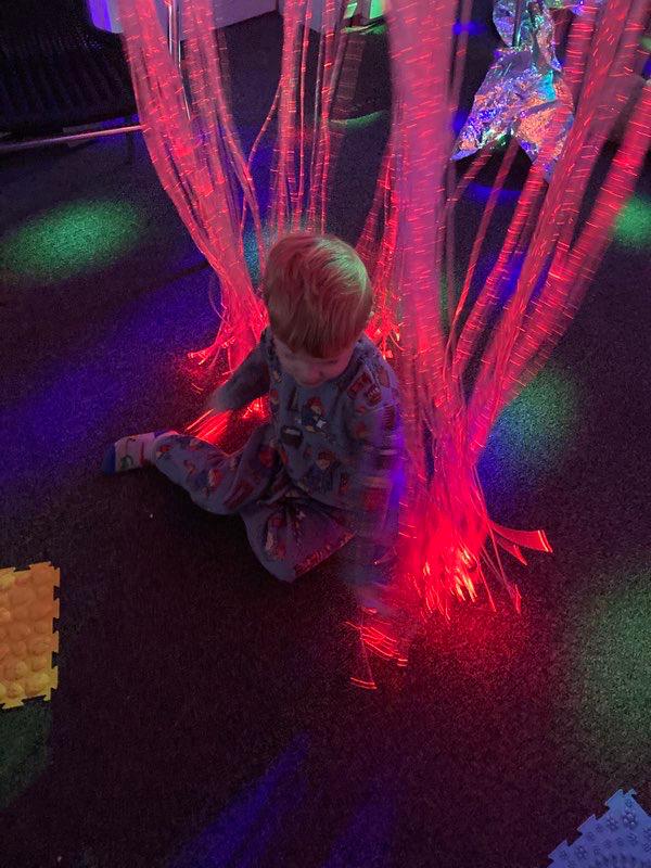 Sensory Circuits Image 2